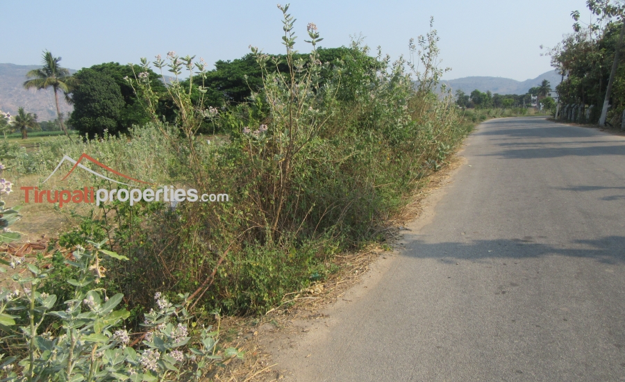 158 Anks West Facing #CommercialLand for Sale Near Nennoor, #Tirupati